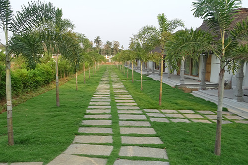Siddha wellness village resort