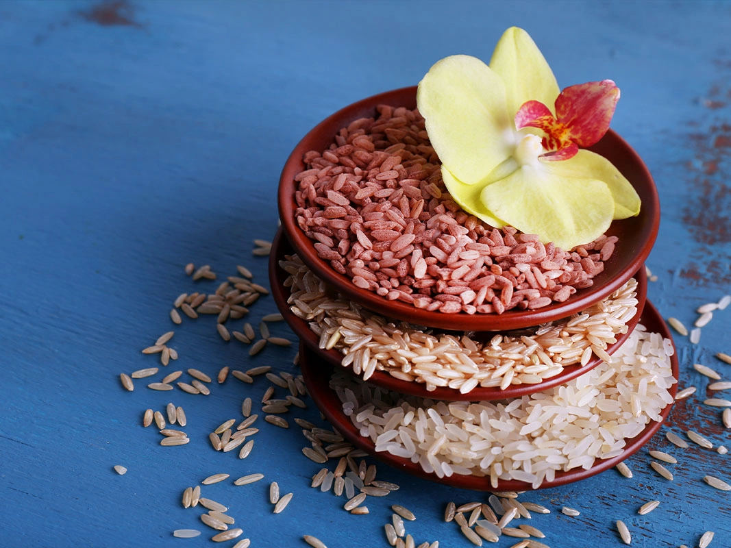 traditional siddha resort near krishnagiri