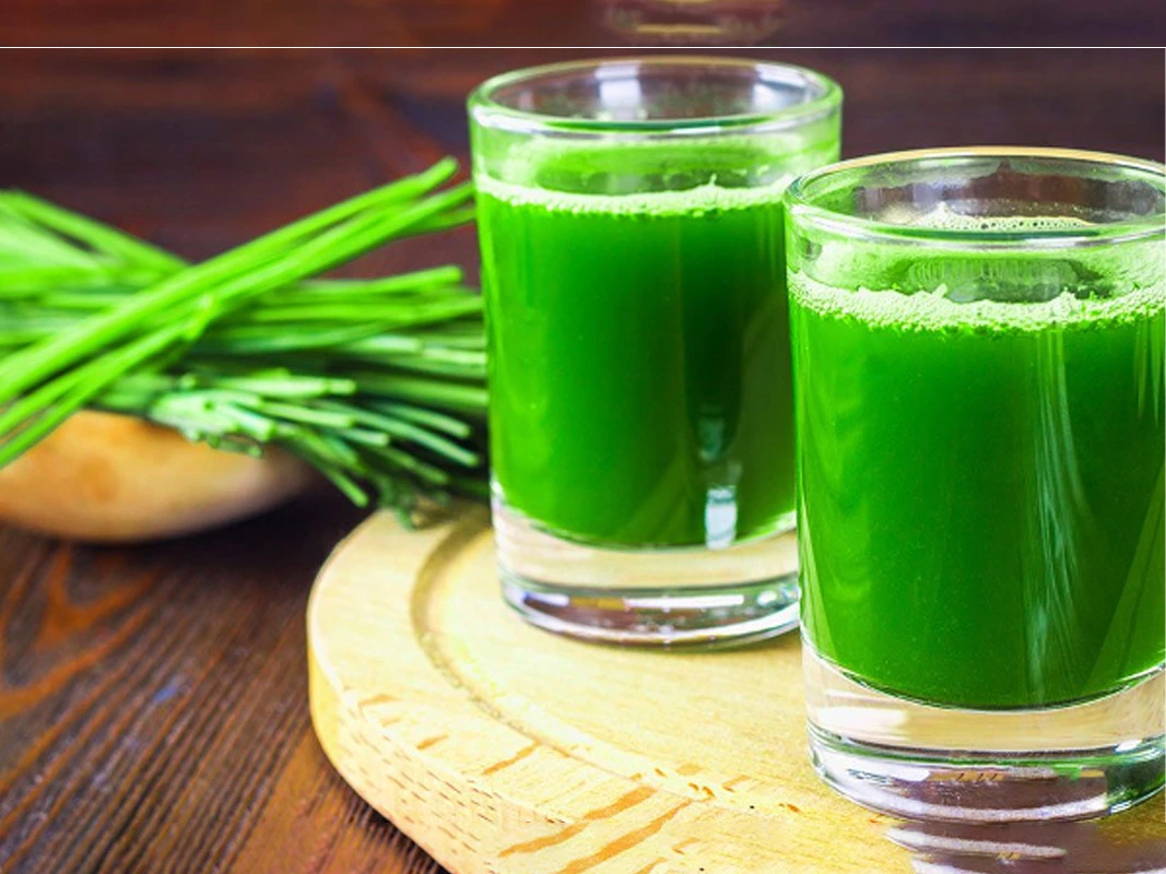 wellbeing health retreats