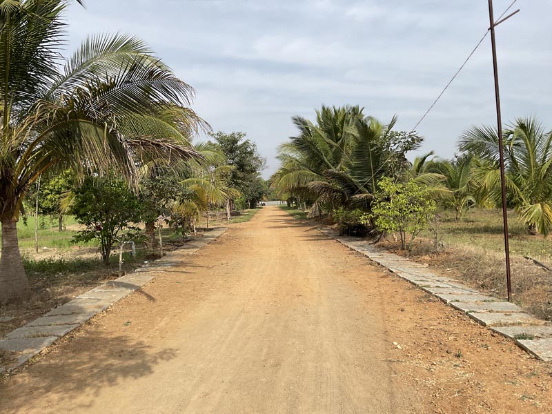 Siddha wellness village resort