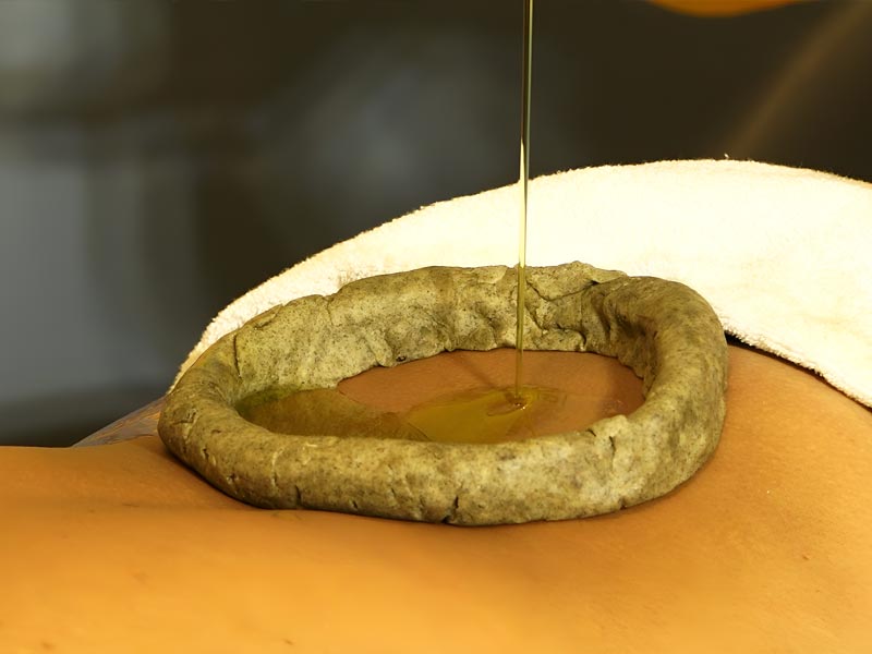 Siddha wellness village resort